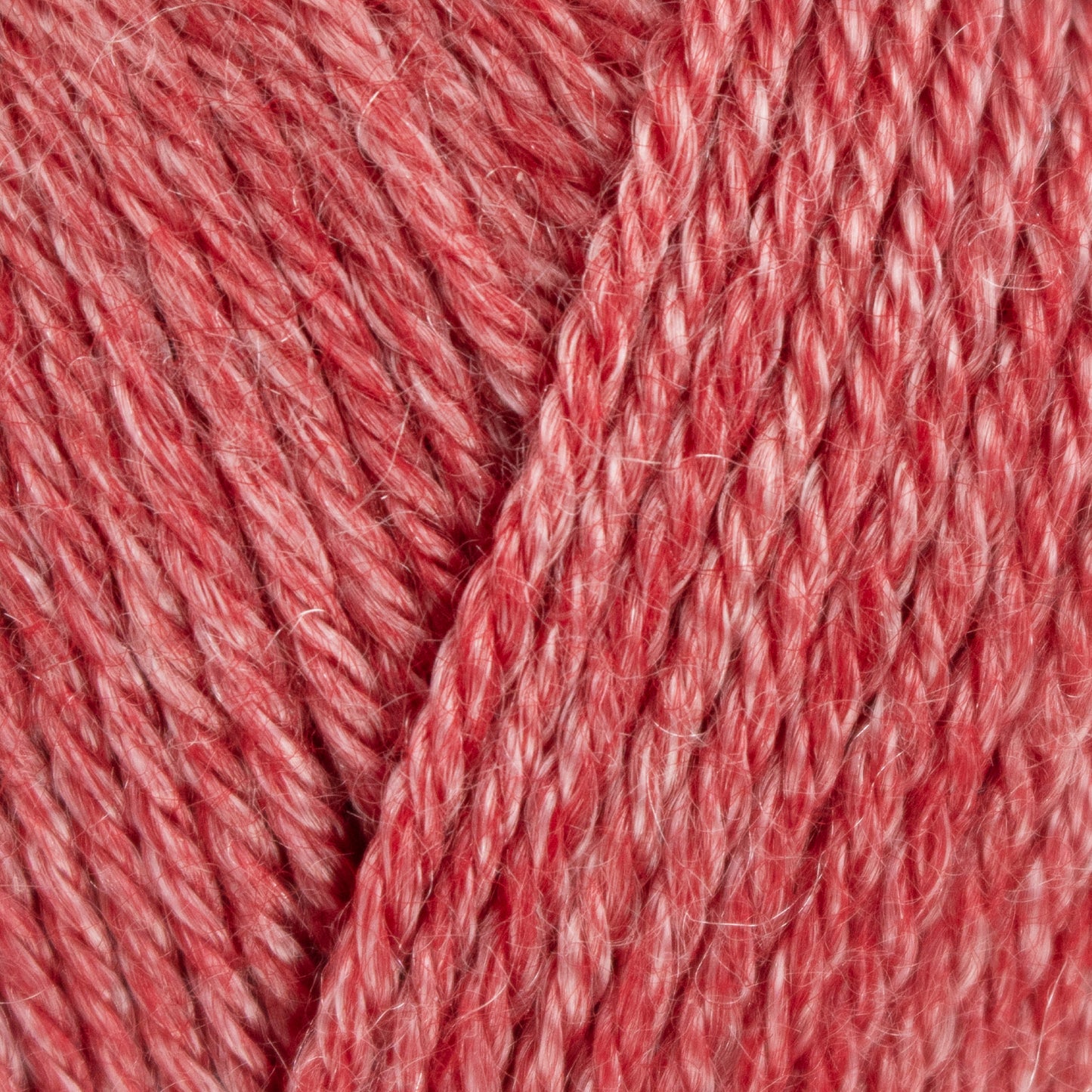 Elements DK - Coral Reef