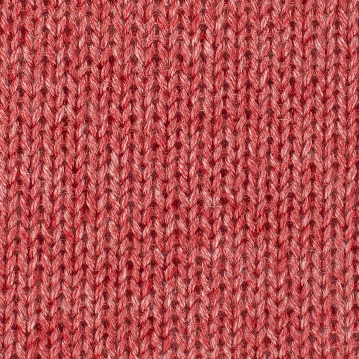 Elements DK - Coral Reef