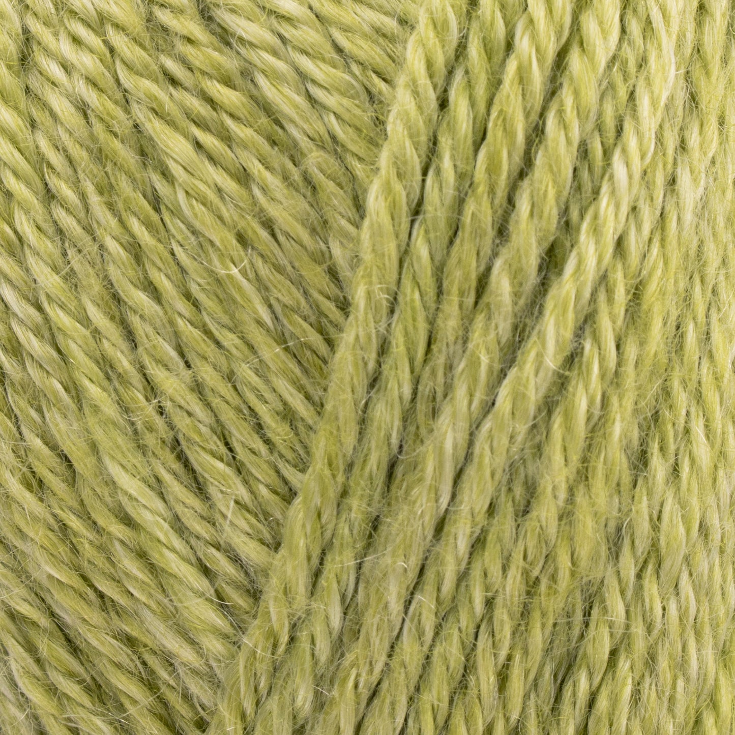 Elements DK - Palm Leaf
