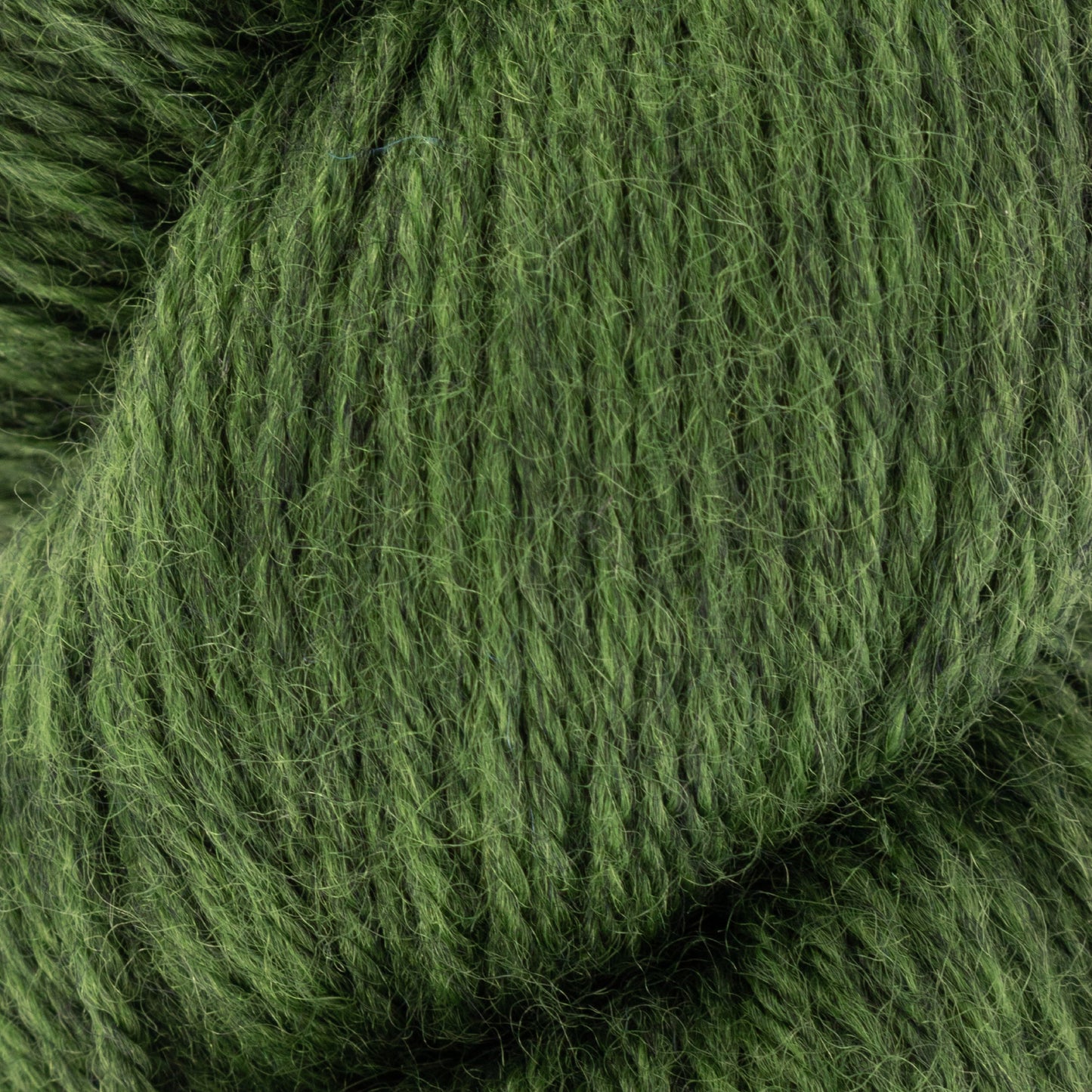 Fleece Bluefaced Leicester DK - Forest