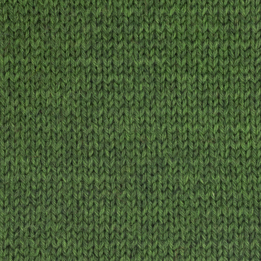 Fleece Bluefaced Leicester DK - Forest