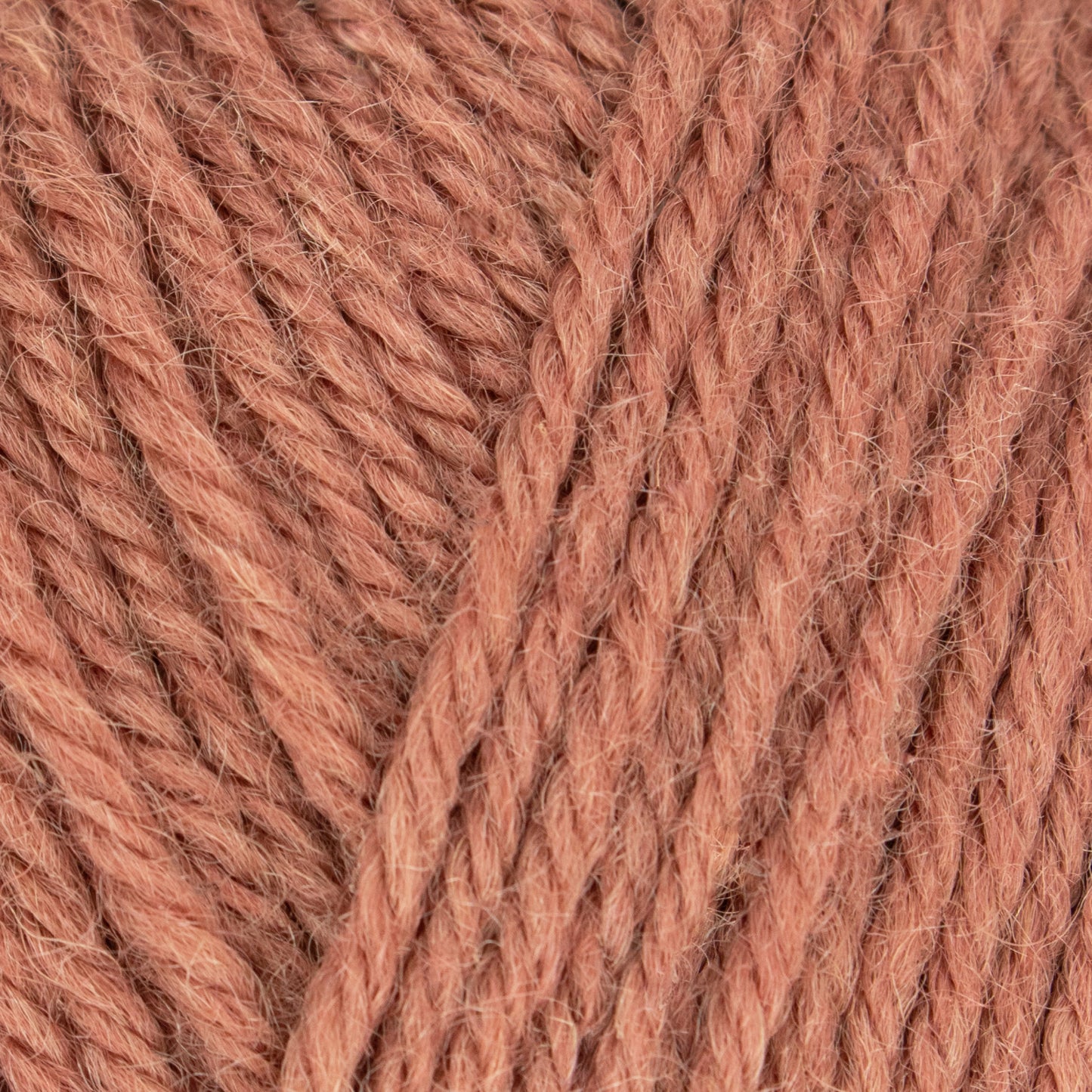 Morris DK - Chrysanthemum