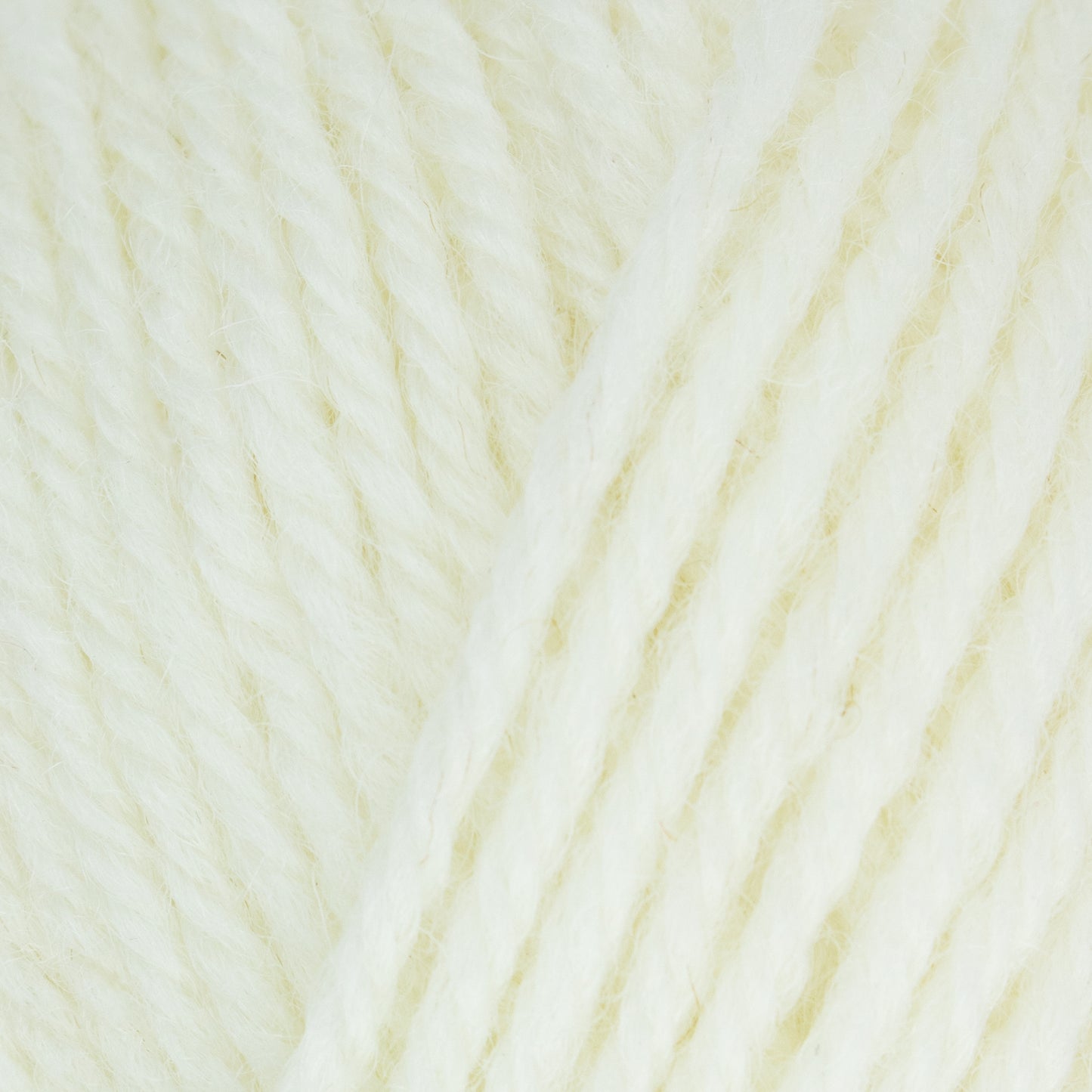Morris DK - Daisy