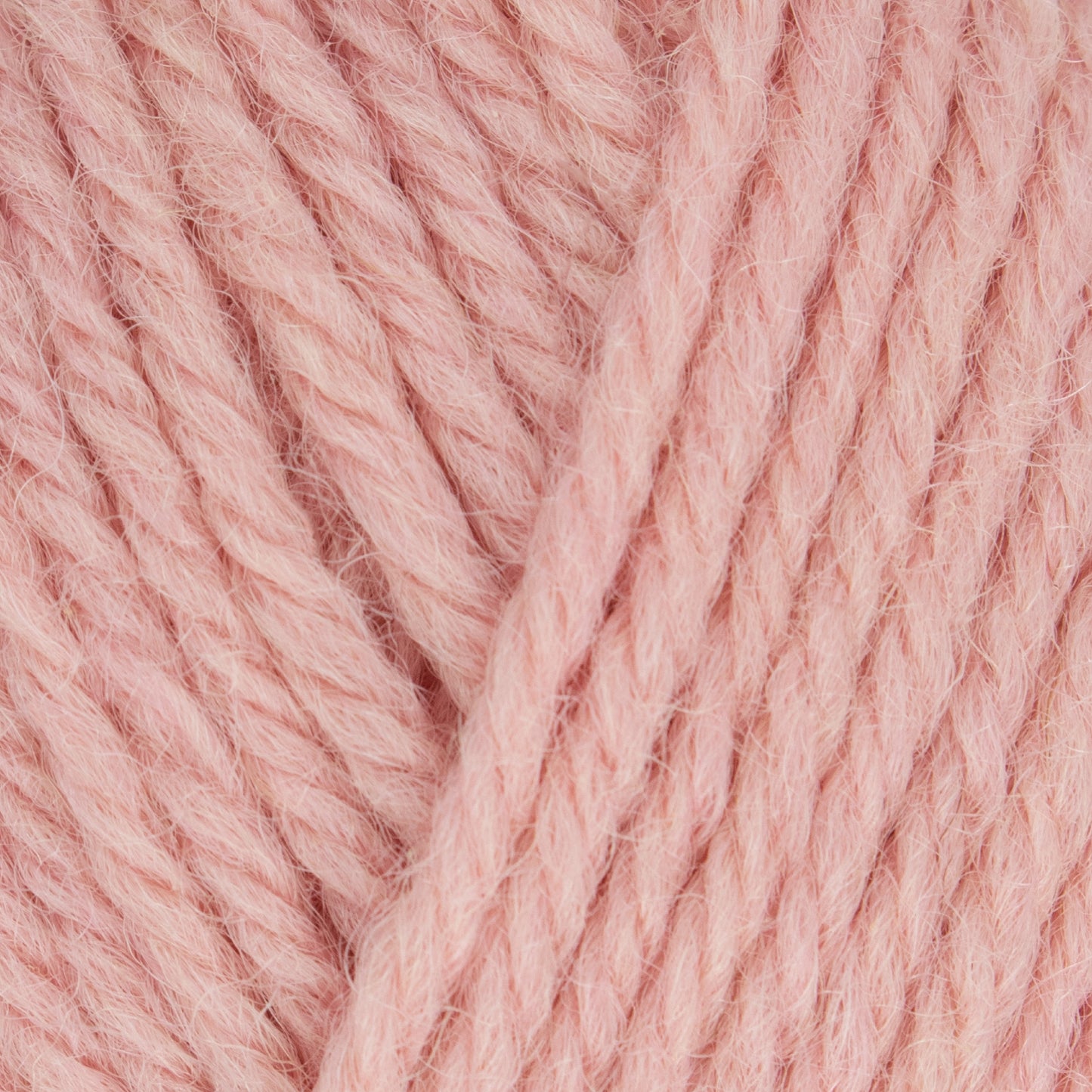 Morris DK - Rose