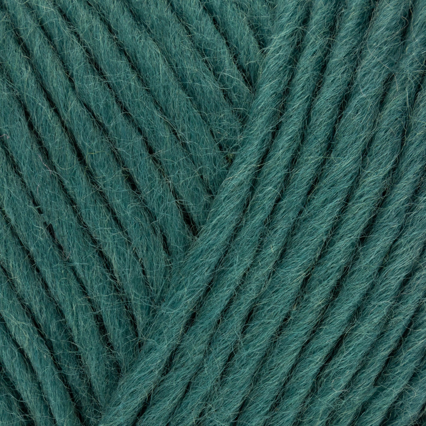 Retreat Chunky Roving - Ponder