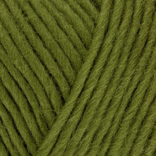 Retreat Chunky Roving - Serene