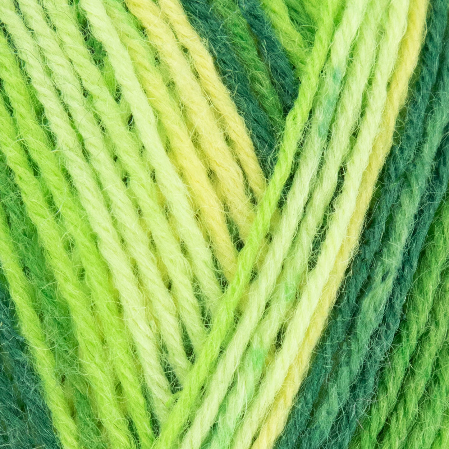 Signature - Winwick Mum - Spring Green