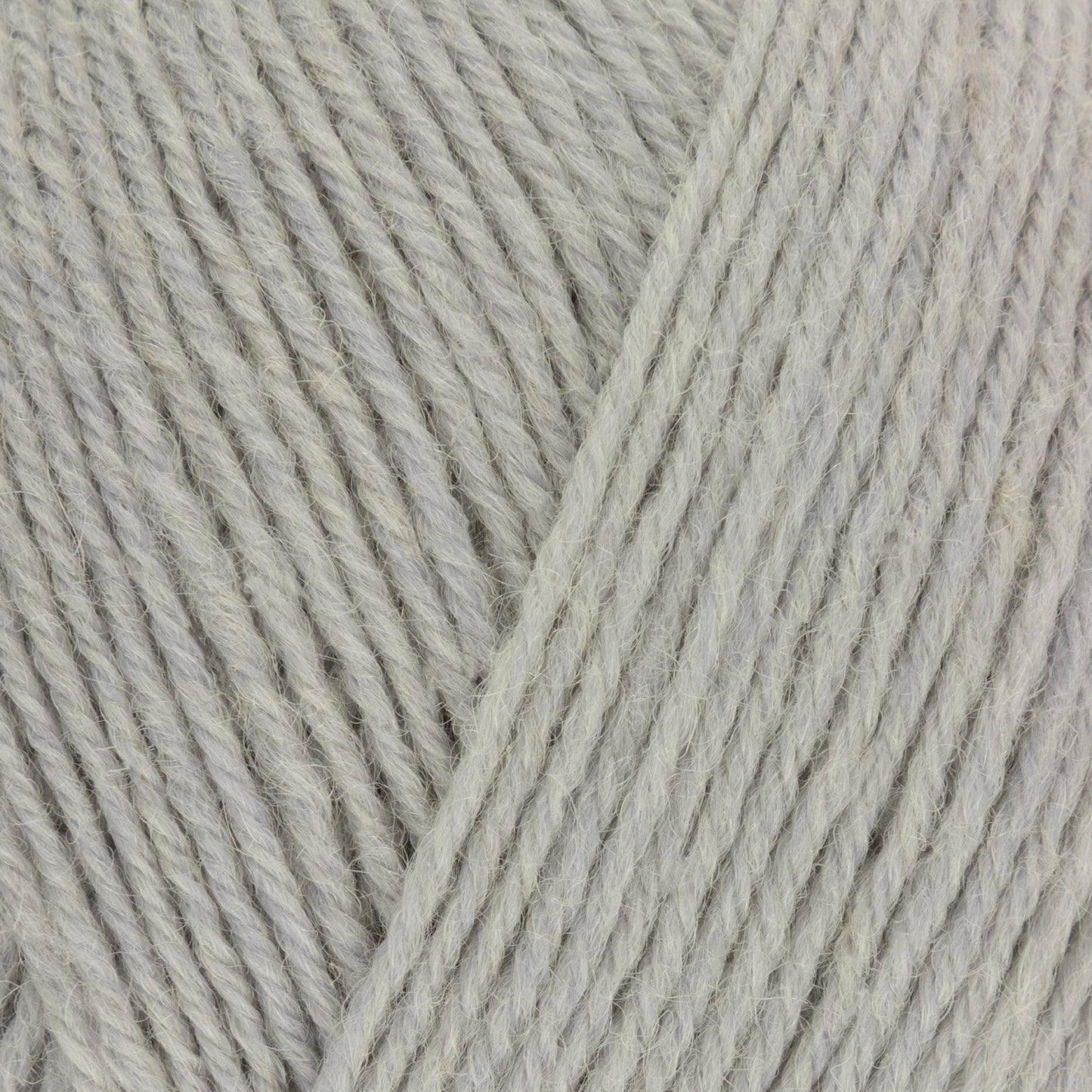 Signature - Dusty Miller