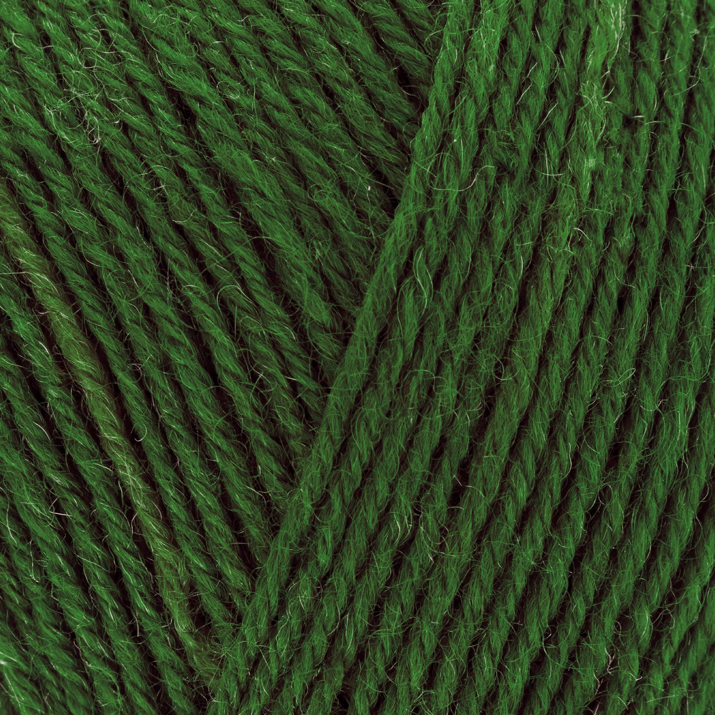 Signature - Evergreen