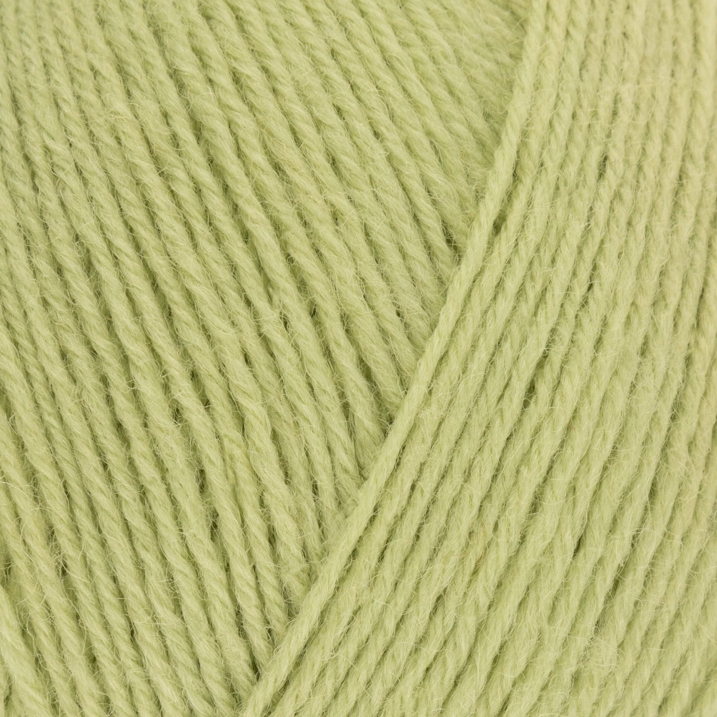 Signature - Hydrangea