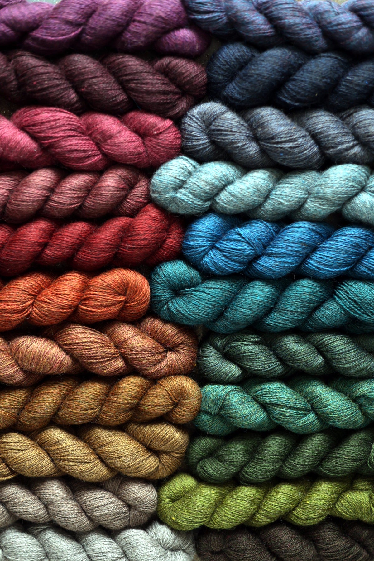 Harvest Hues