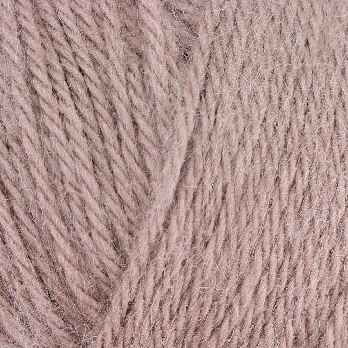 Aran