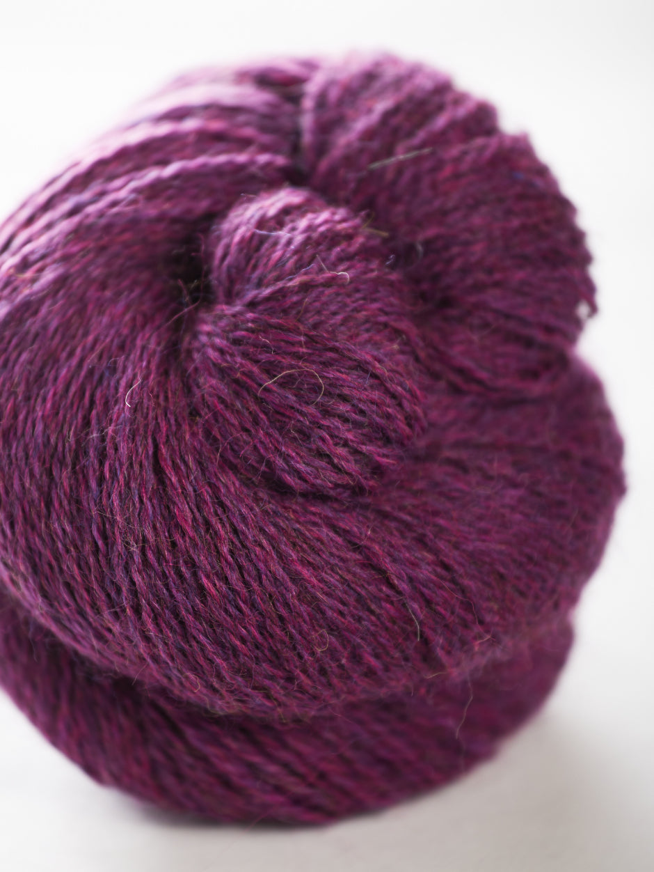 Harvest Hues - Teasel