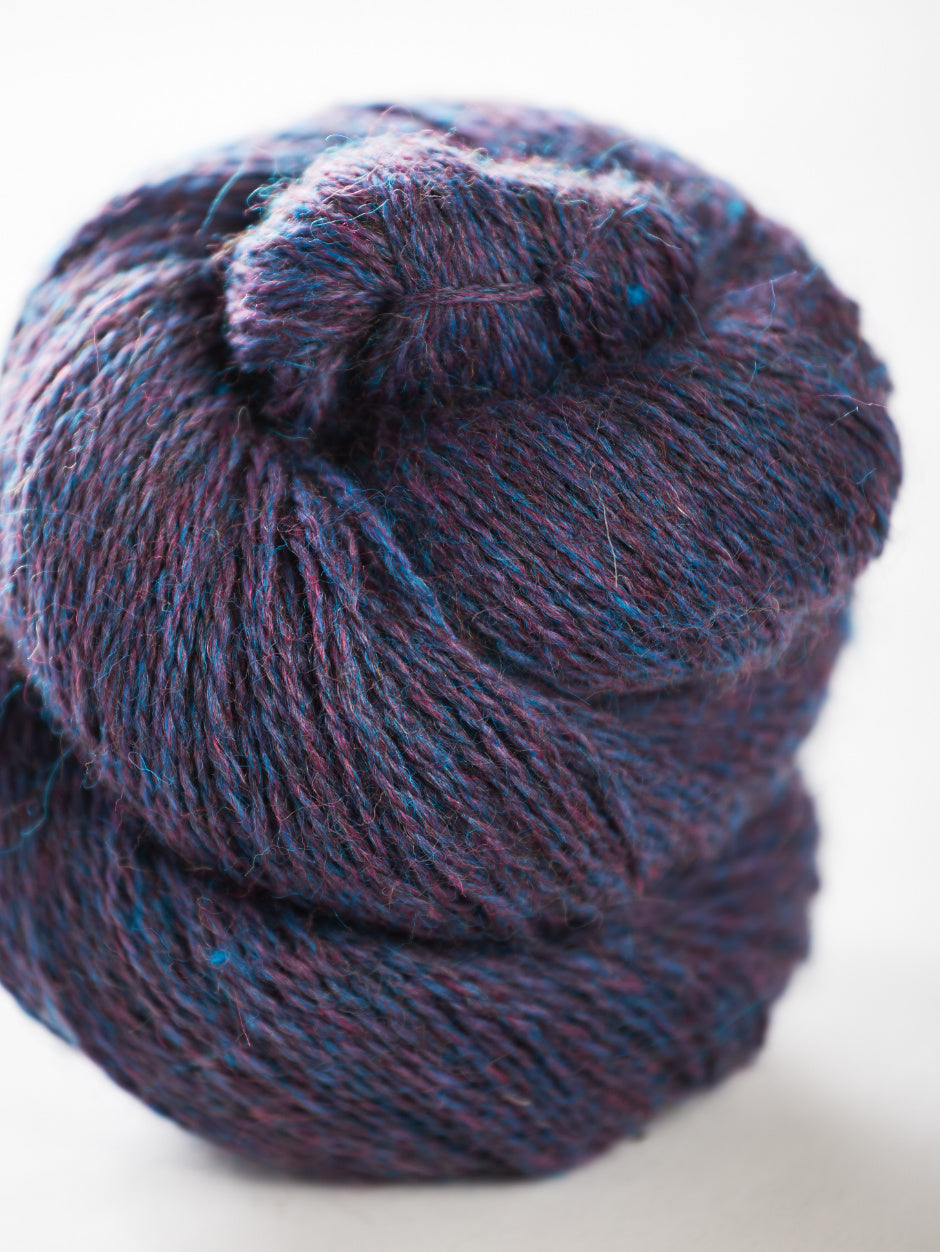 Harvest Hues - Speedwell