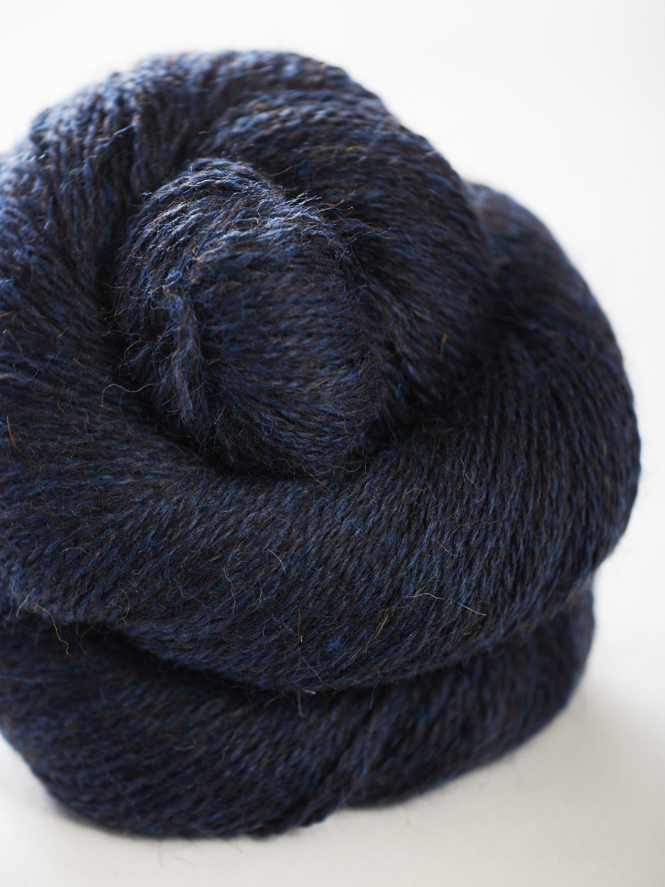 Harvest Hues - Blackthorn