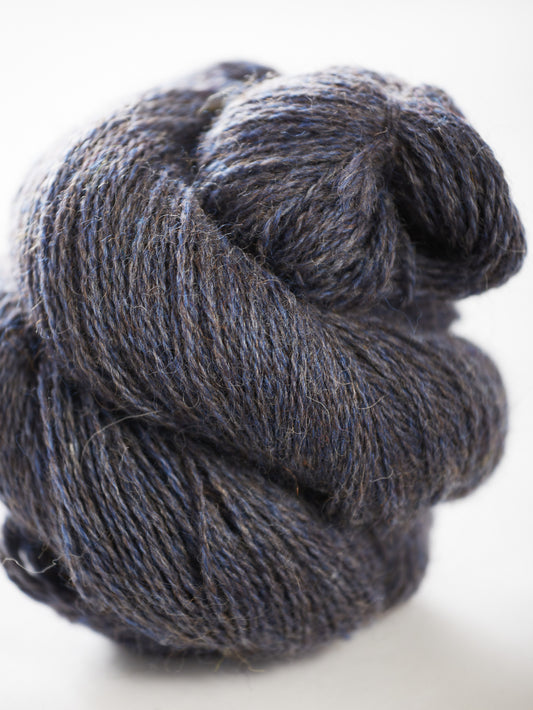 Harvest Hues - Borage