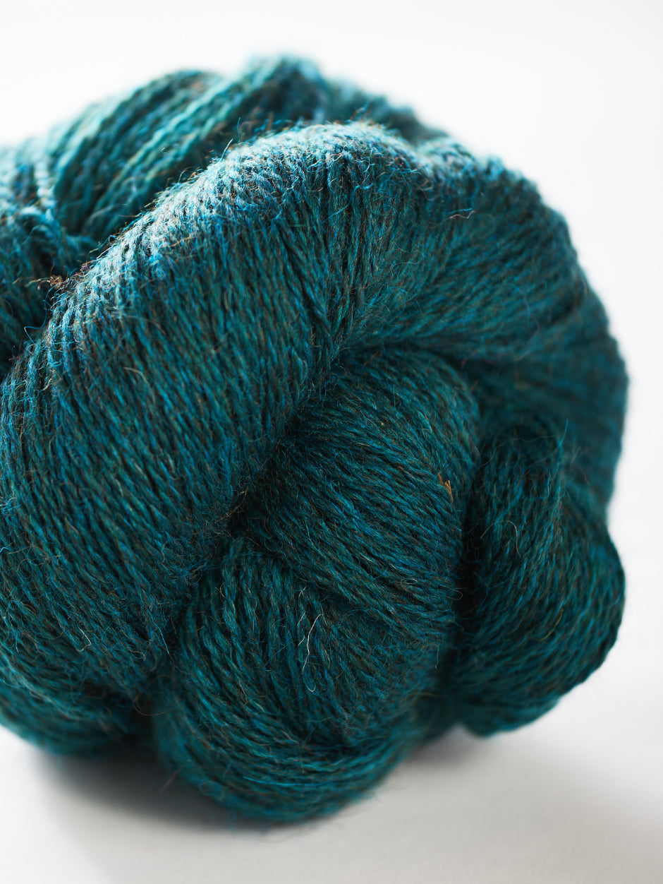 Harvest Hues - Blue Spruce