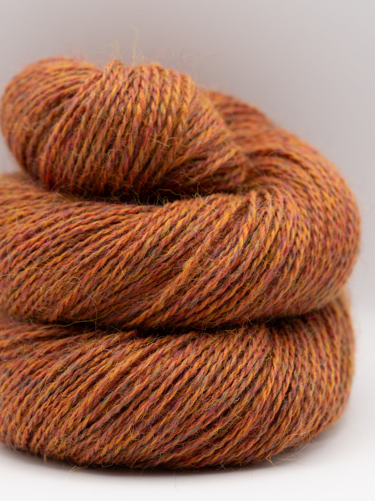 Appledore - Blenheim Orange