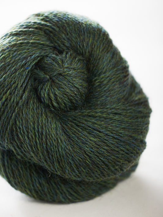 Harvest Hues - Juniper