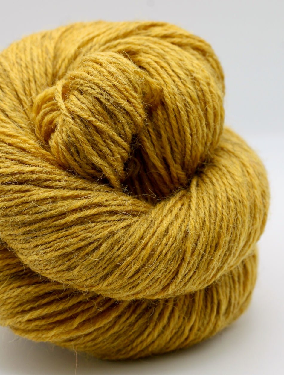Exmoor Sock - Drumble (bumblebee)