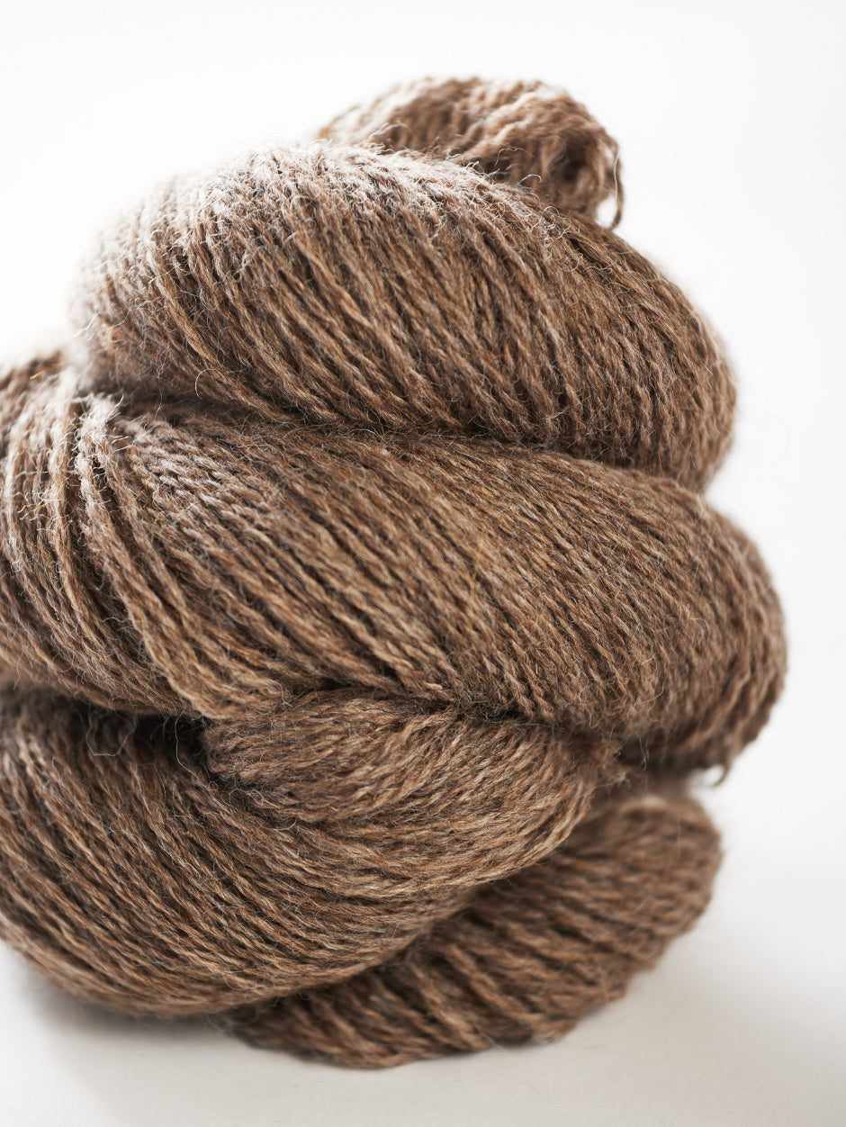 Harvest Hues - Barley