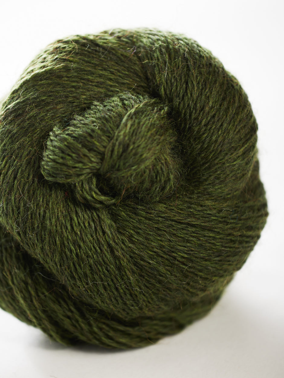 Harvest Hues - Sycamore