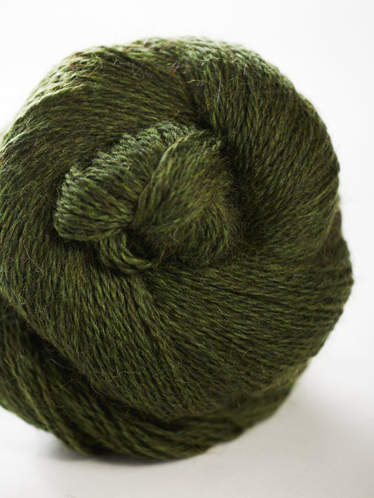 Harvest Hues - Sycamore