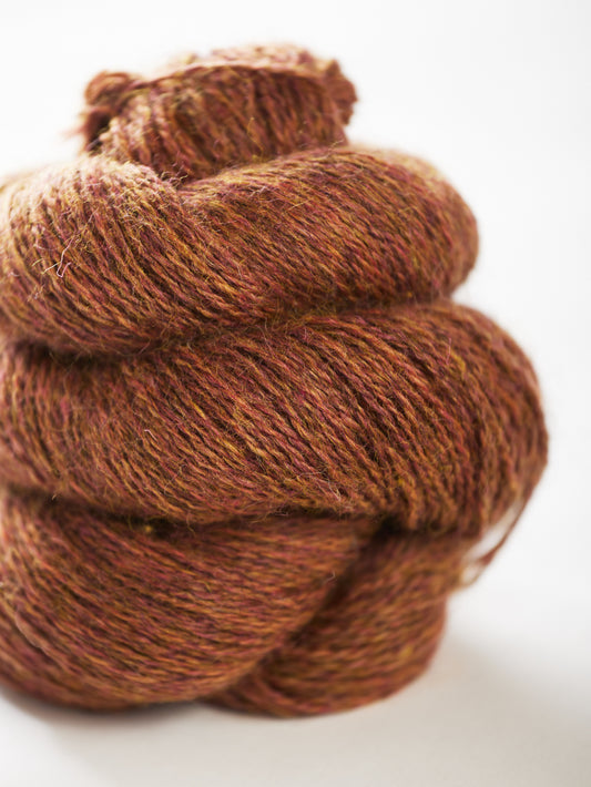 Harvest Hues - Medlar