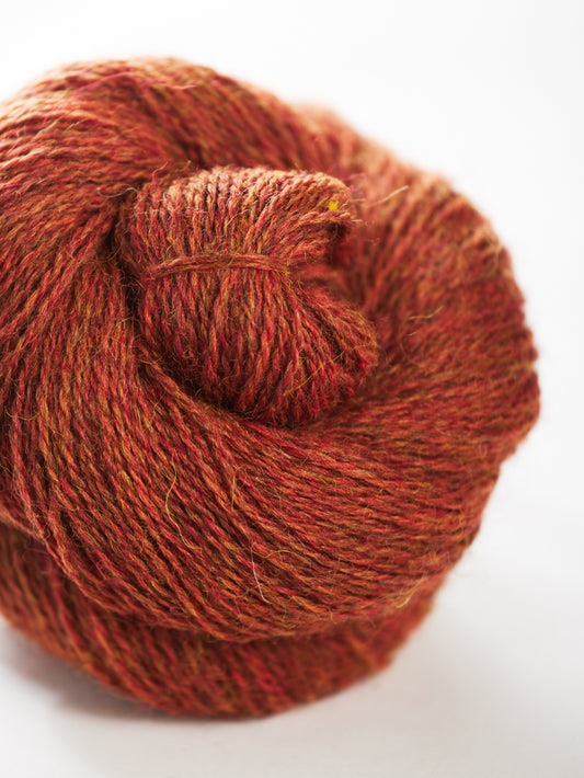 Harvest Hues - Bracken