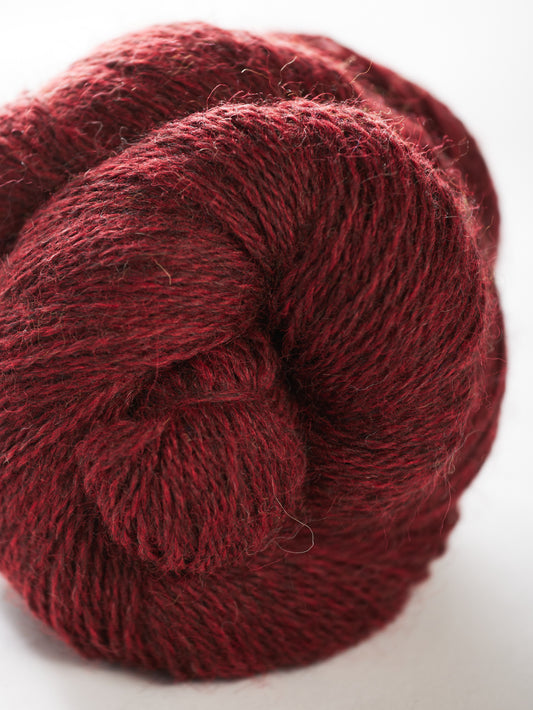 Harvest Hues - Pomegranate