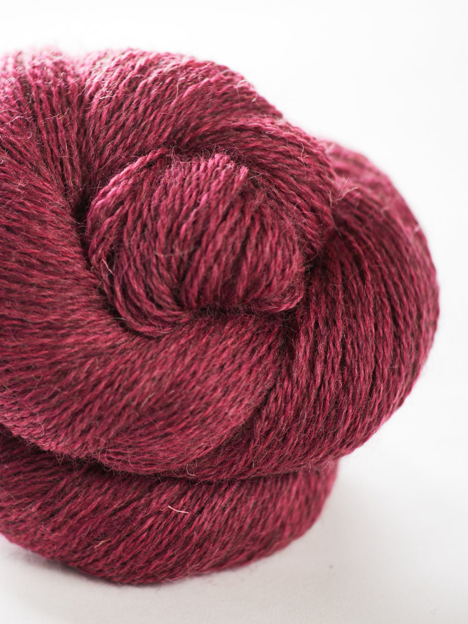 Harvest Hues - Loganberry