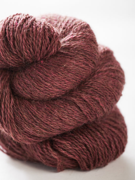 Harvest Hues - Rosebay