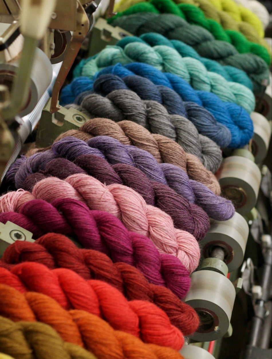 Exmoor Sock - Oddmedod (snail)