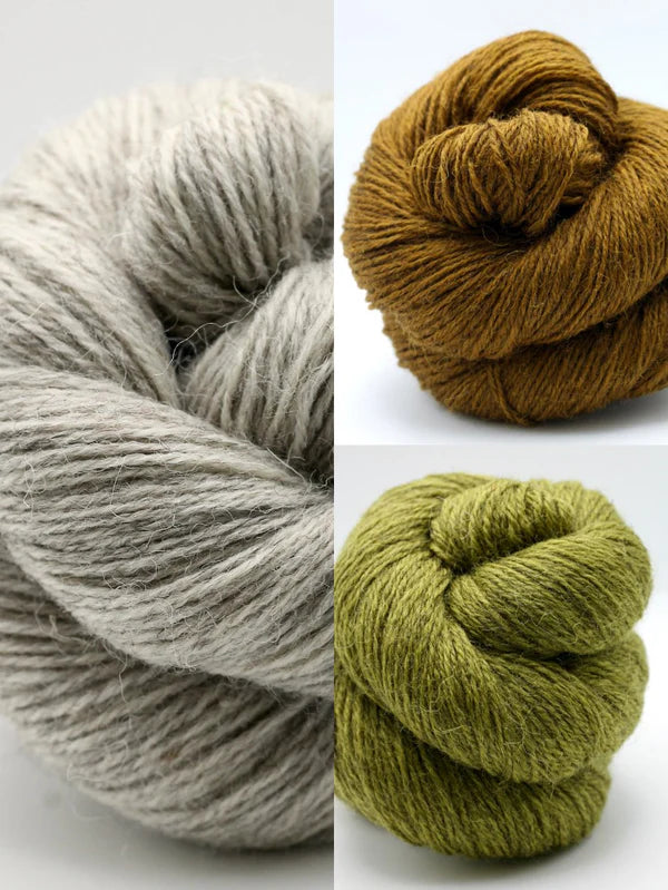Slow Down Tortoise Socks Kit Size 1 by Stone Knits