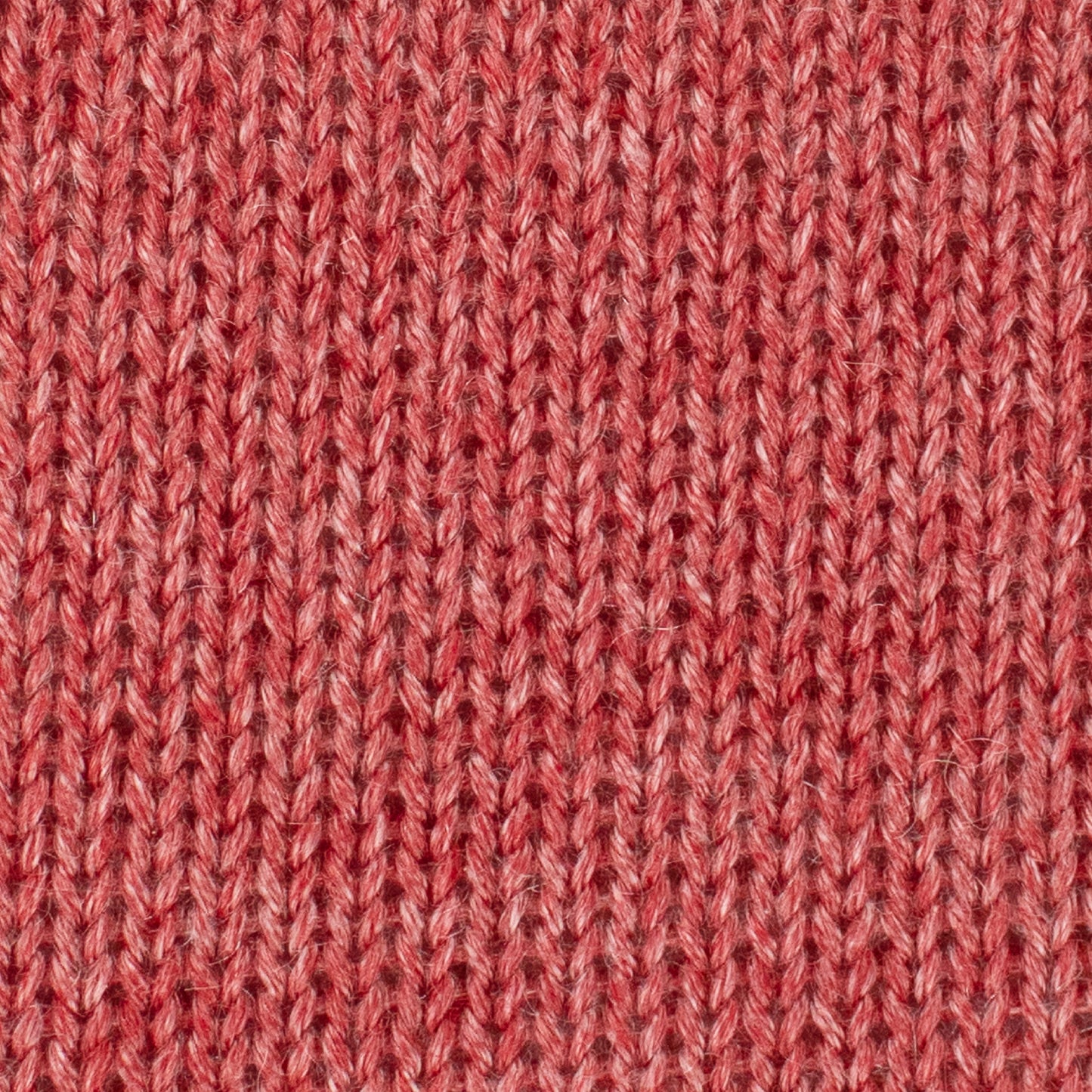 Elements DK - Coral Reef
