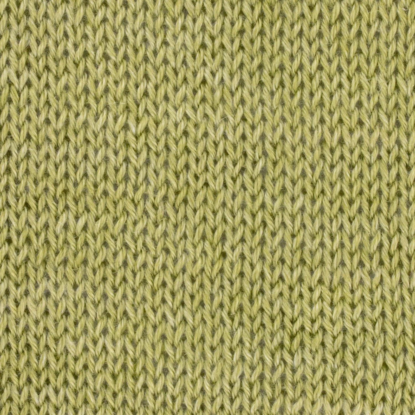 Elements DK - Palm Leaf