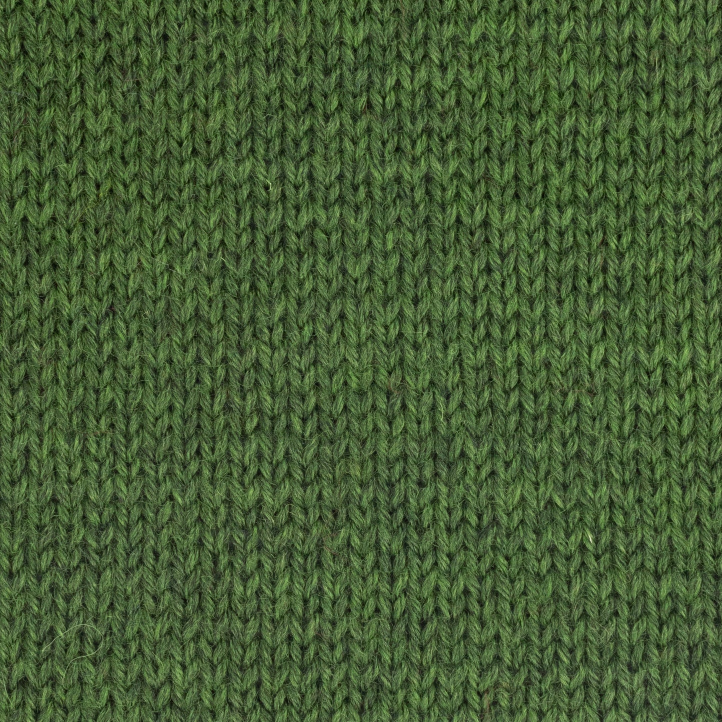Fleece Bluefaced Leicester DK - Forest