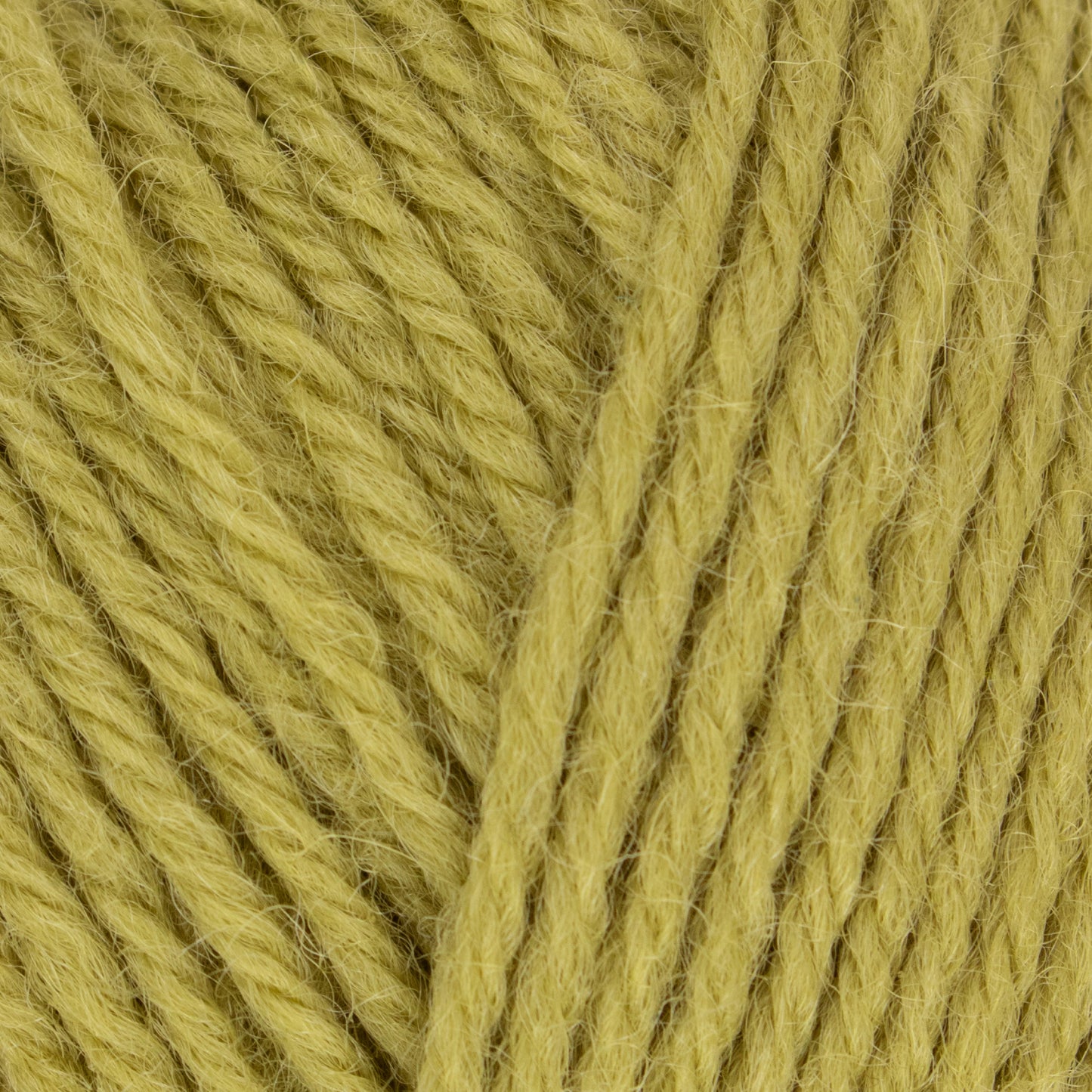 Morris DK - Artichoke