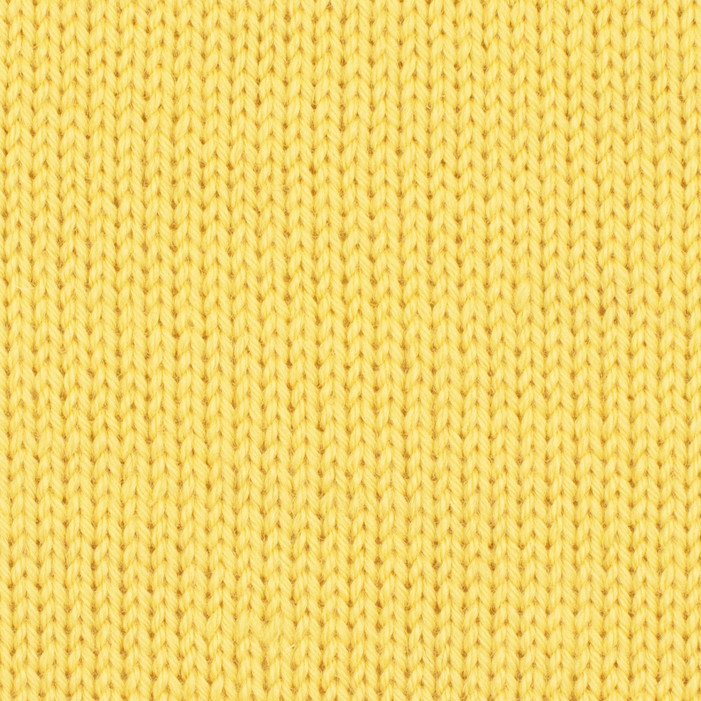 Morris DK - Daffodil