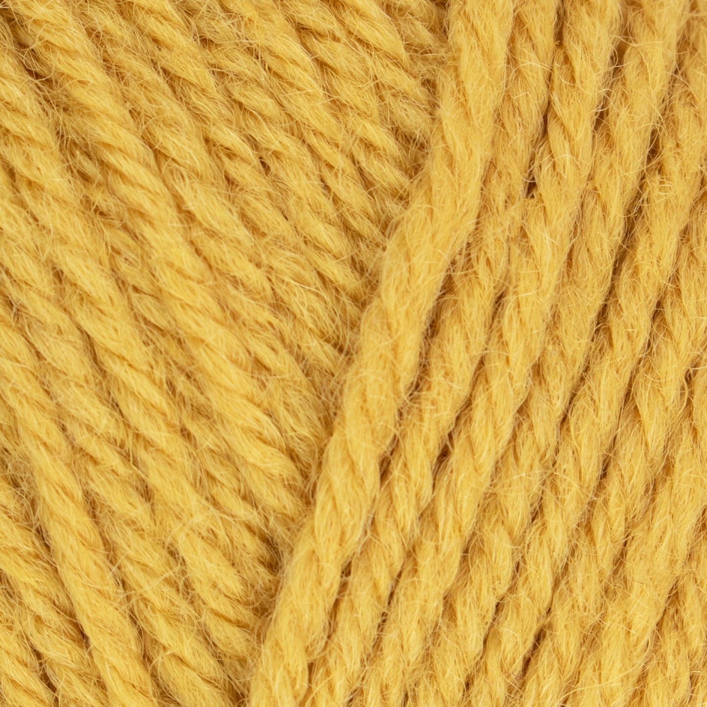 Morris DK - Marigold