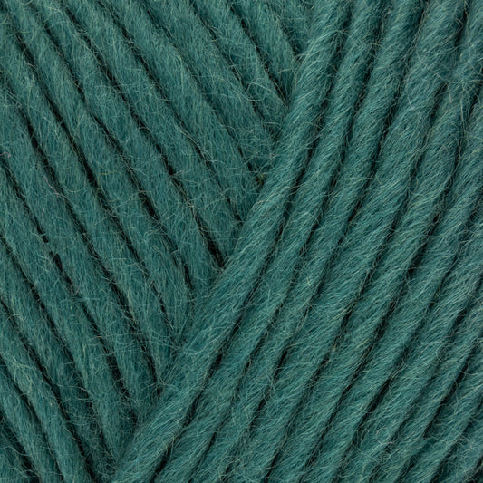 Retreat Chunky Roving - Ponder