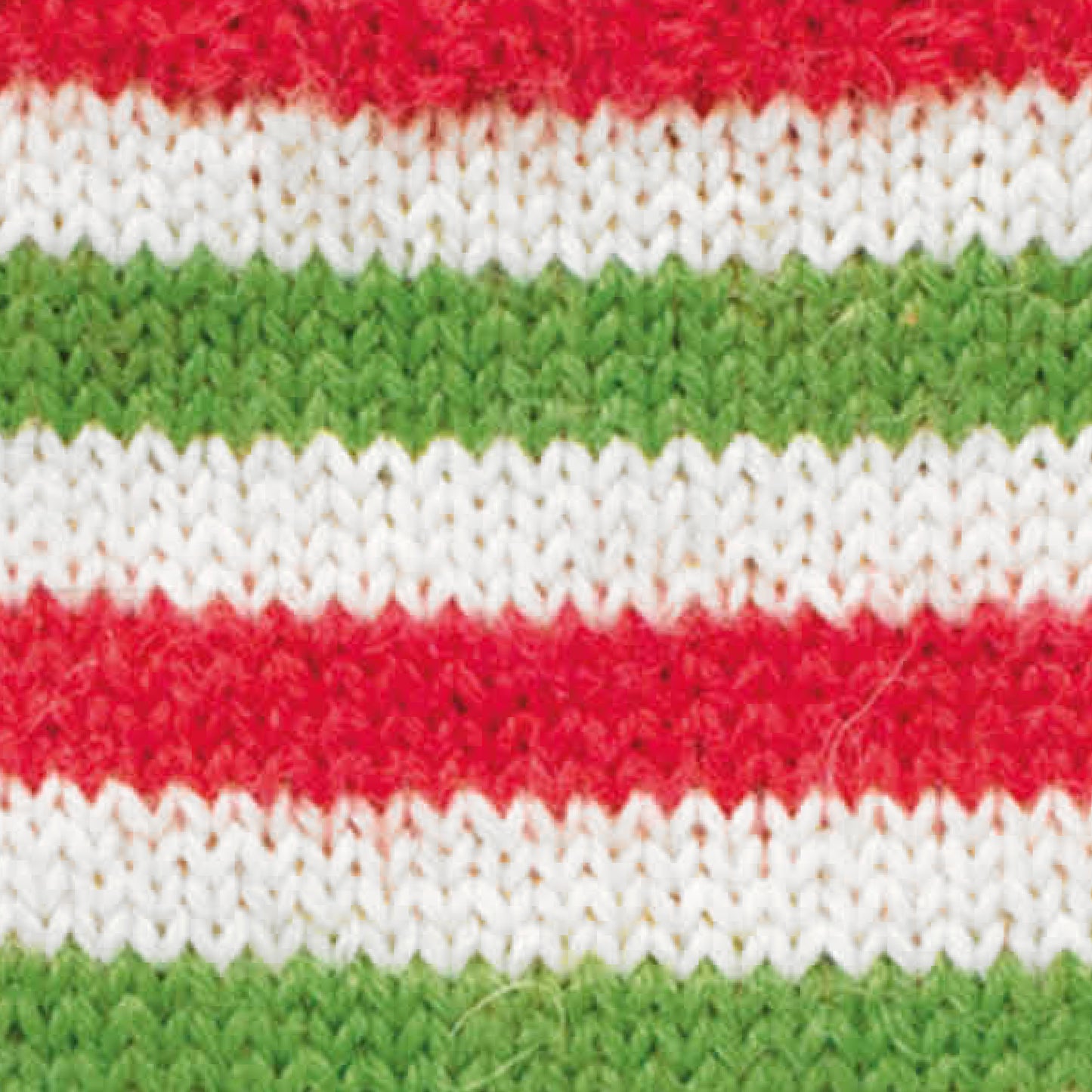 Signature Christmas - Candy Cane