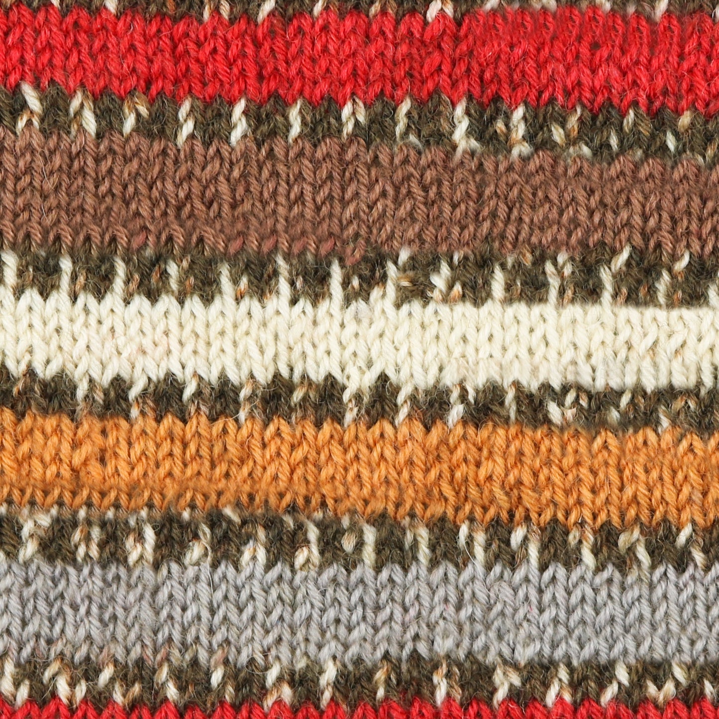 Signature Christmas - Robin