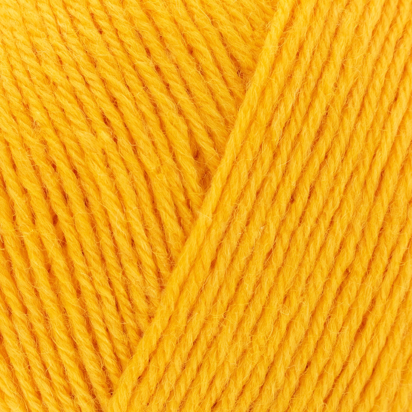 Signature - Sunflower