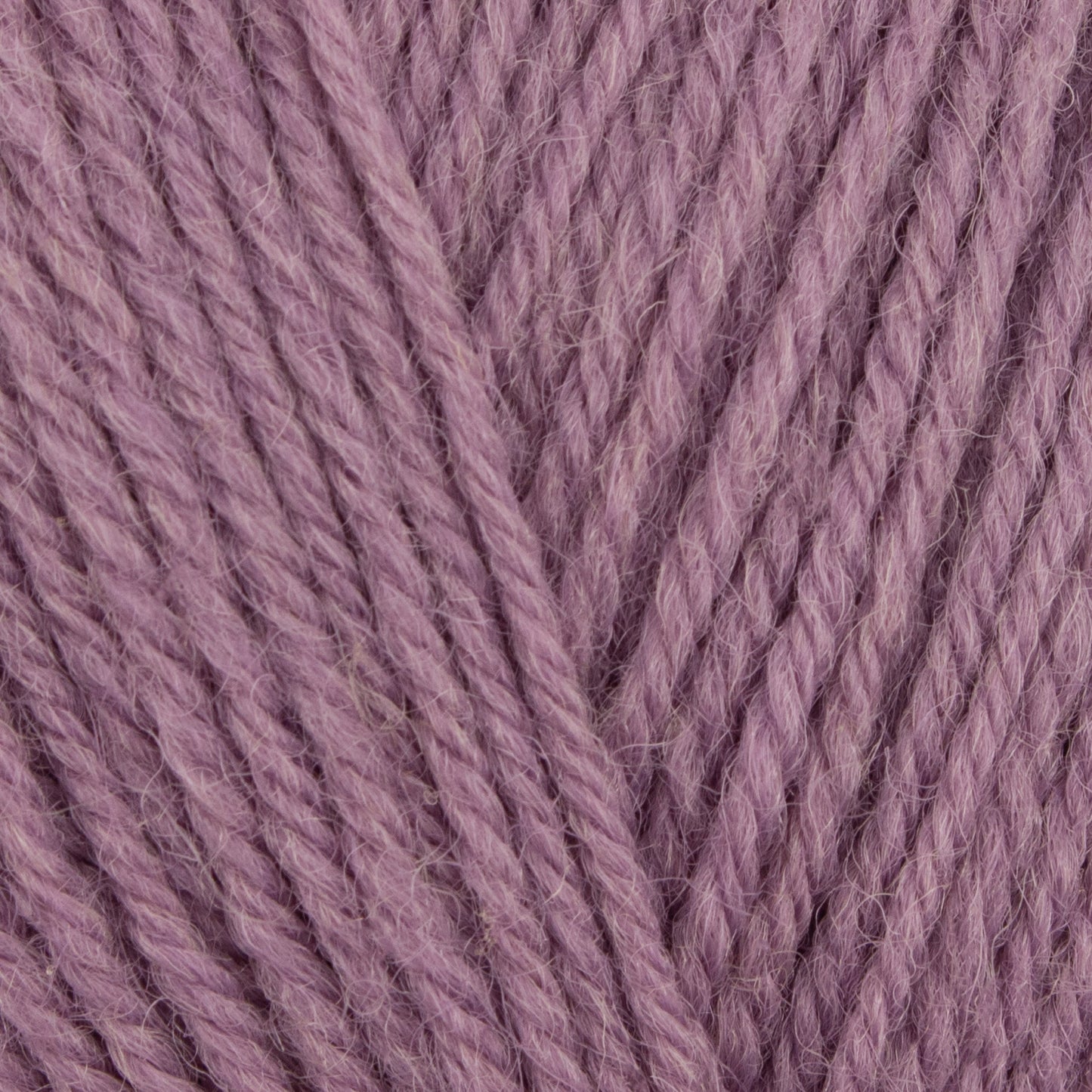 Wool Revival - Thistle