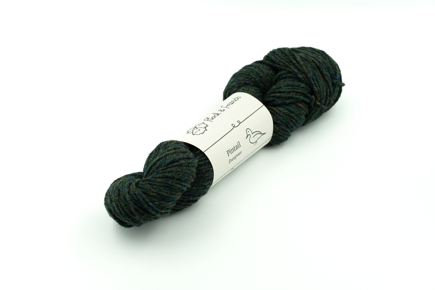 Pintail - Evergreen