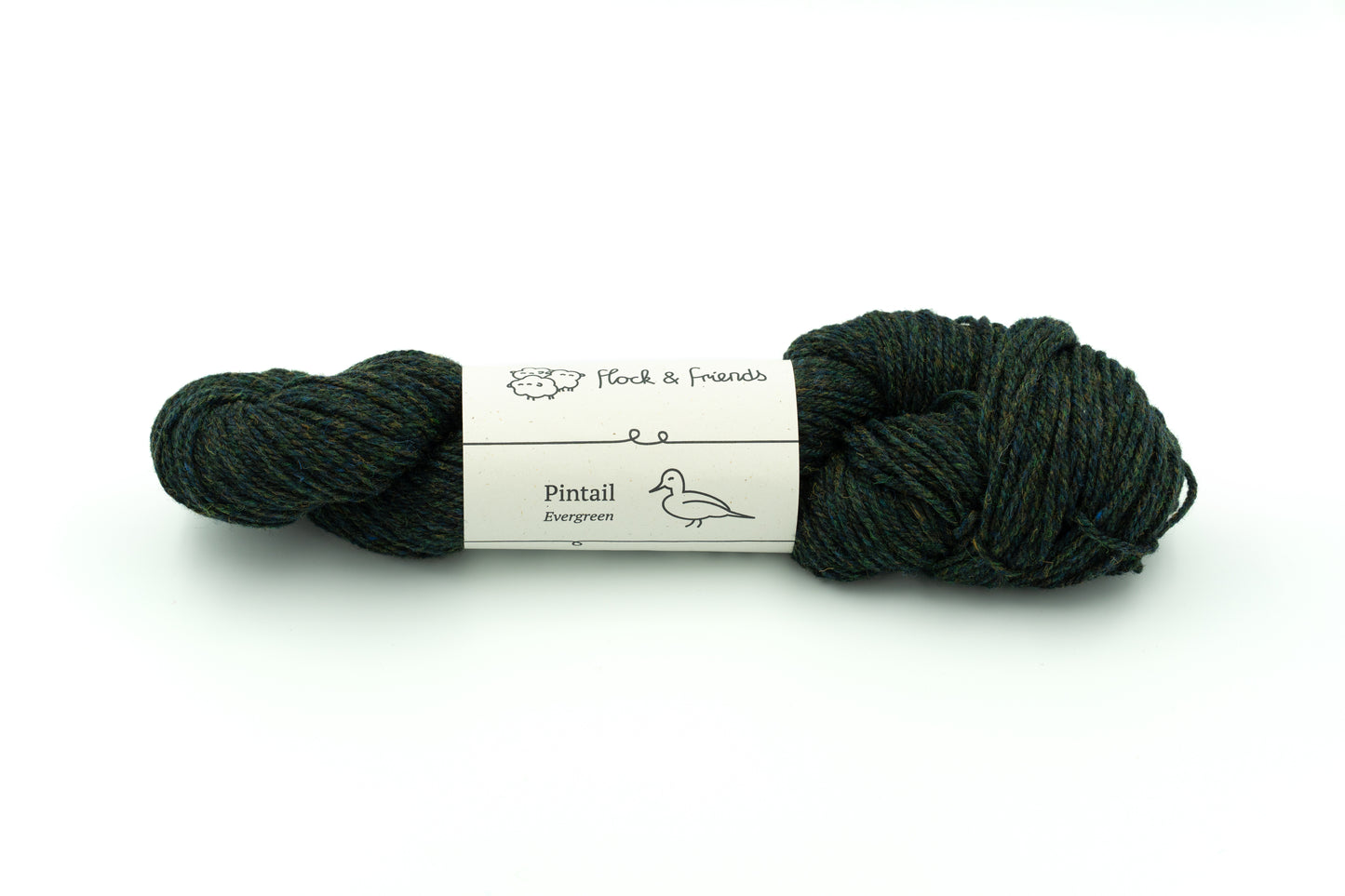 Pintail - Evergreen
