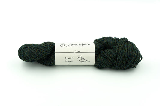 Pintail - Evergreen