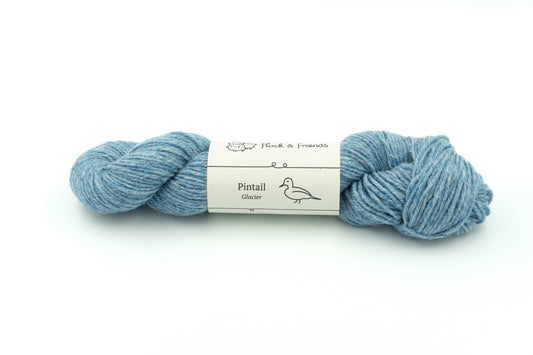 Pintail - Glacier
