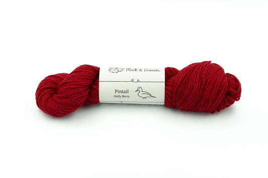 Pintail - Holly Berry